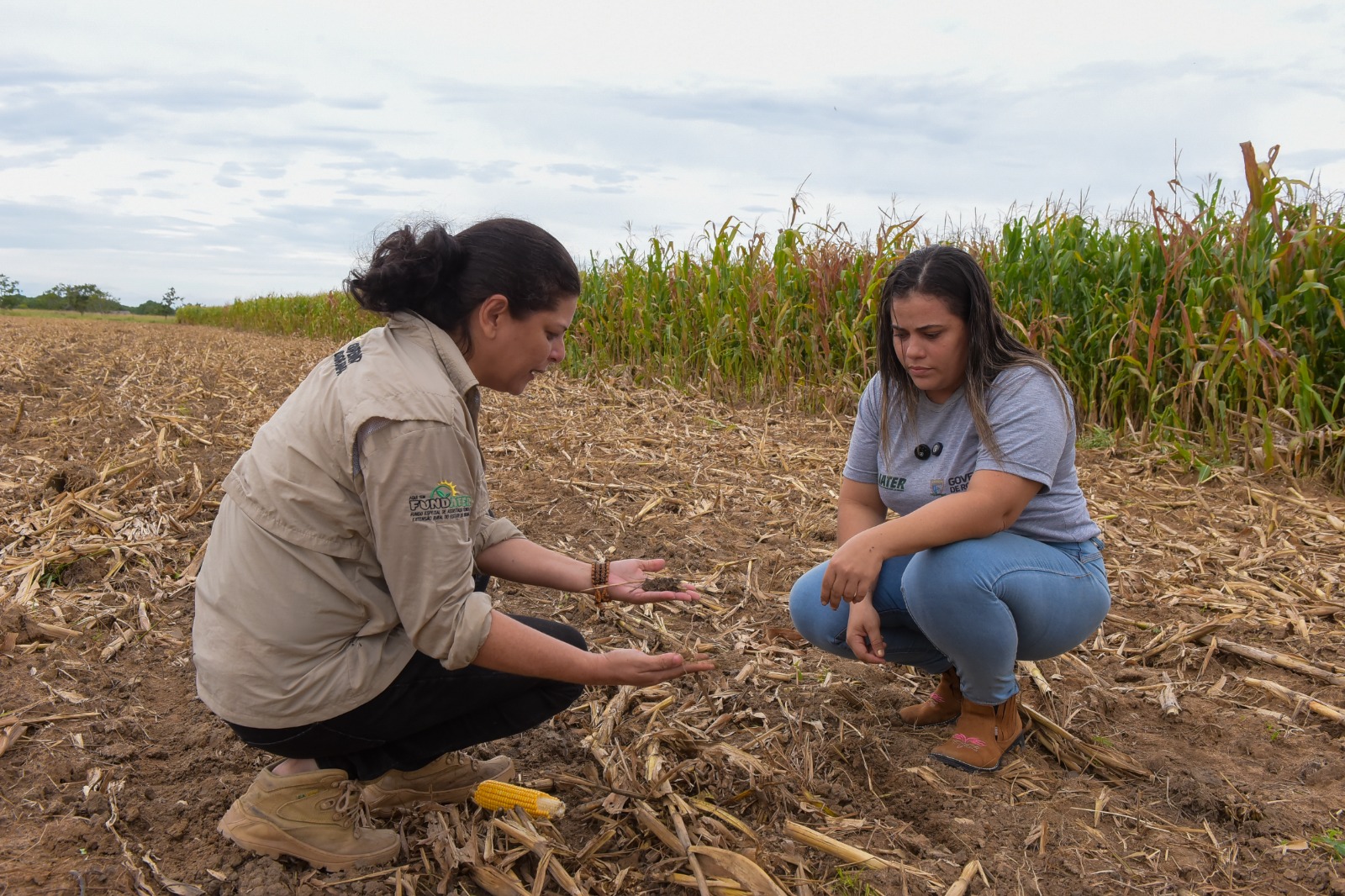 iater-lanca-processo-seletivo-com-80-vagas-para-nivel-medio-e-superior