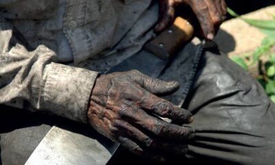 roraima-registra-cinco-resgates-de-trabalhadores-em-condicao-analoga-a-escravidao-em-2025,-aponta-mte