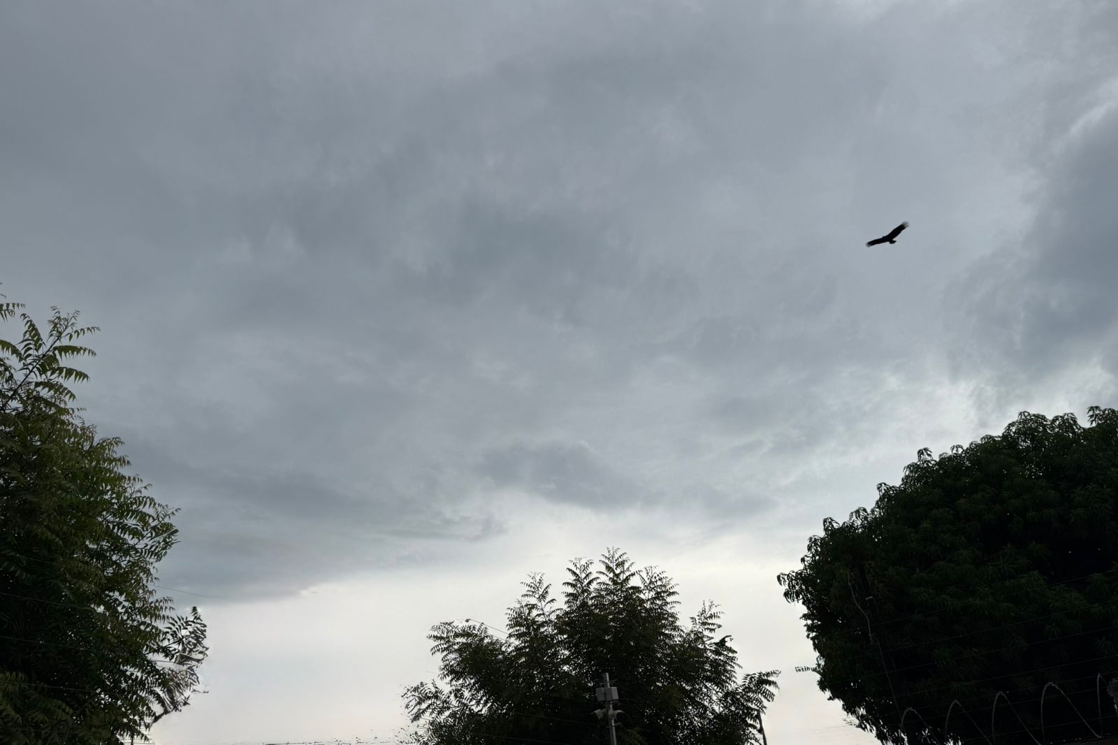 previsao-do-tempo-indica-semana-quente-e-com-muitas-nuvens-em-boa-vista