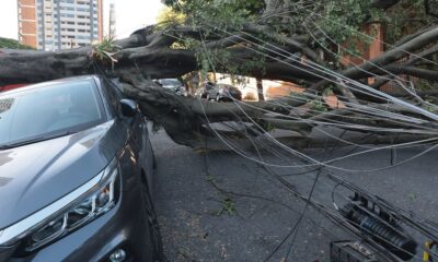 sao-paulo-e-capitais-do-sul-terao-ventos-moderados-nesta-quinta-feira