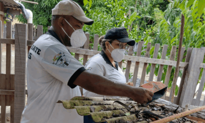 roraima-realiza-dia-d-de-combate-ao-aedes-aegypti