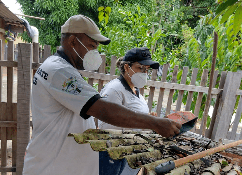 roraima-realiza-dia-d-de-combate-ao-aedes-aegypti