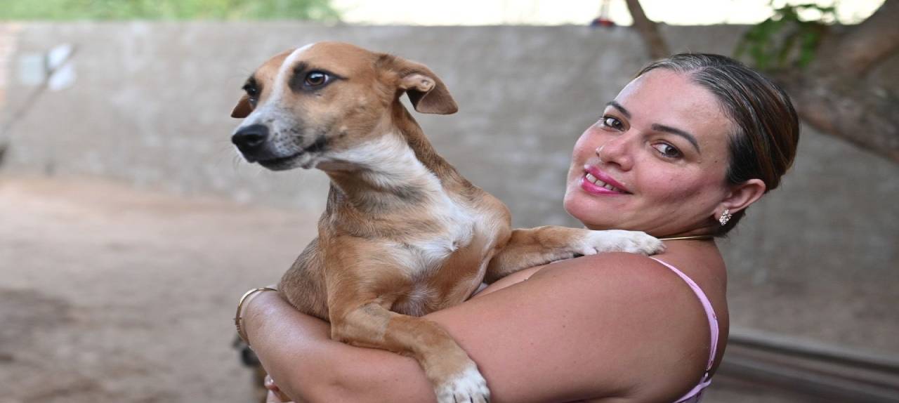 protecao-animal-dezembro-verde-reforca-combate-aos-maus-tratos-e-ao-abandono-de-animais-em-roraima