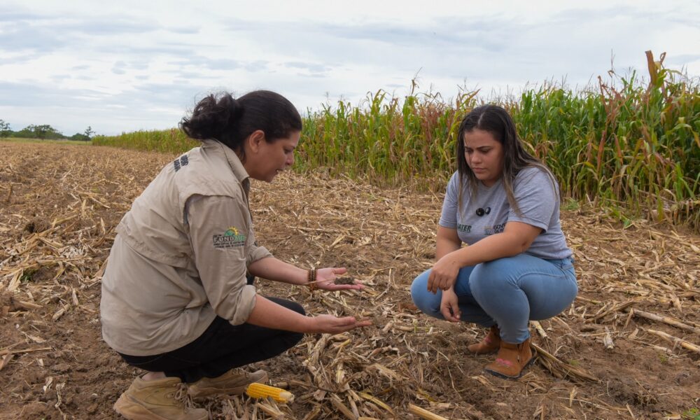 iater-lanca-processo-seletivo-com-80-vagas-para-nivel-medio-e-superior