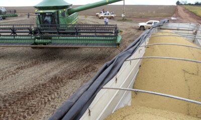 lei-que-pune-participantes-da-moratoria-da-soja-volta-a-valer-em-mt