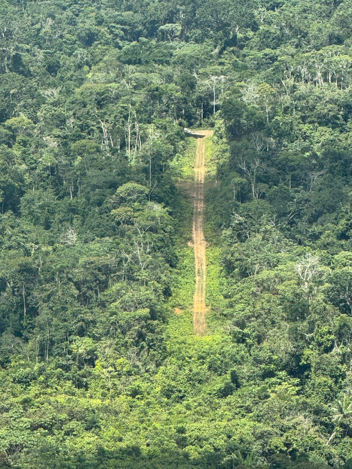 mais-uma-pista-de-pouso-clandestina-e-destruida-na-terra-yanomami-em-roraima