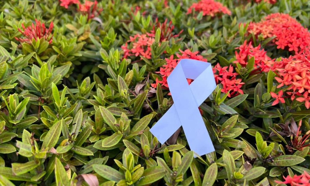 janeiro-branco-lembra-a-importancia-de-recomecar-o-novo-ano-como-uma-“folha-em-branco”