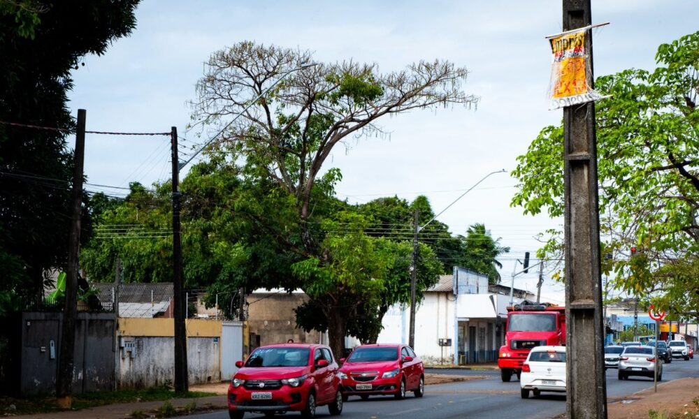 nova-lei-impede-anuncios-em-postes,-placas-de-transito,-semaforos-e-arvores-em-boa-vista