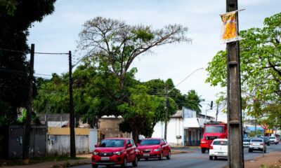 nova-lei-impede-anuncios-em-postes,-placas-de-transito,-semaforos-e-arvores-em-boa-vista