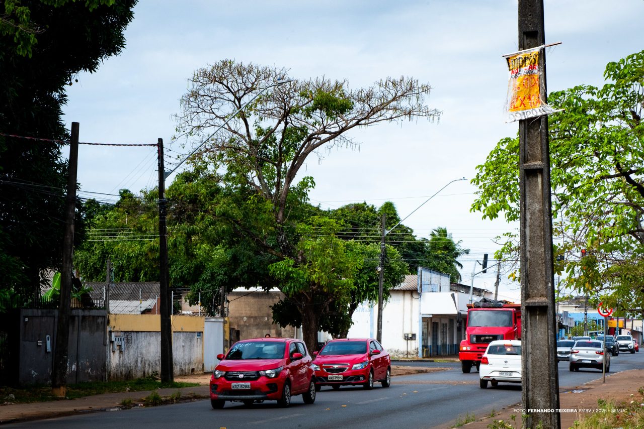 nova-lei-impede-anuncios-em-postes,-placas-de-transito,-semaforos-e-arvores-em-boa-vista