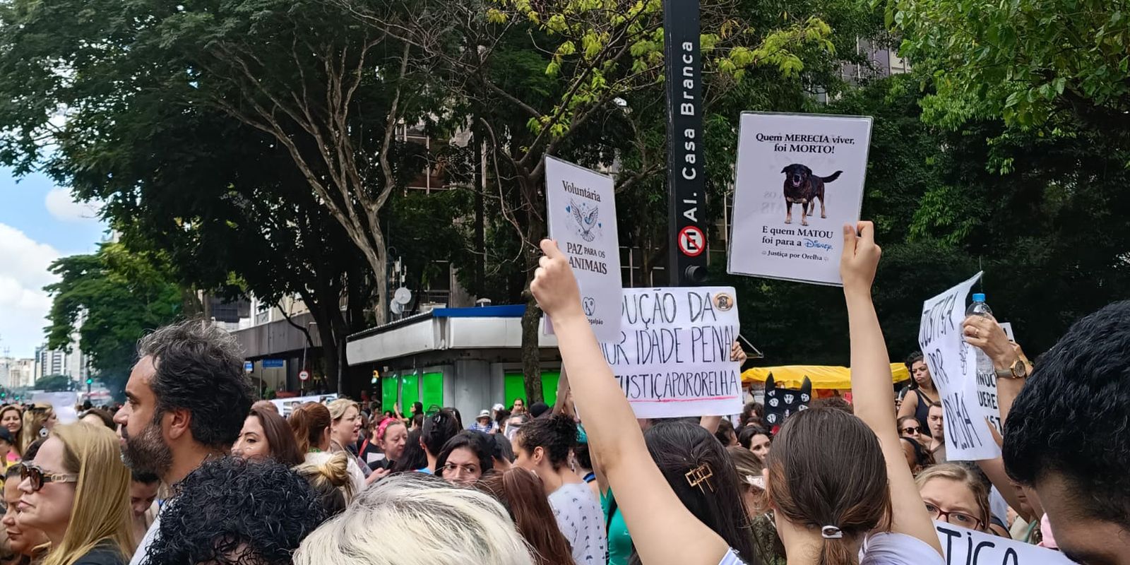 centenas-de-pessoas-em-sao-paulo-pedem-justica-pelo-cao-orelha