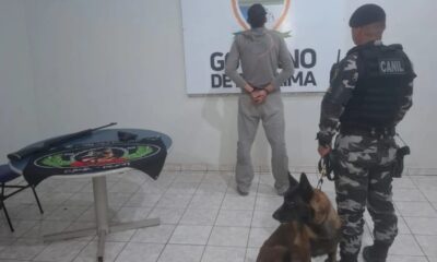 homem-e-preso-no-trabalho-apos-atirar-em-filhote-de-cachorro-da-vizinha-no-nova-cidade