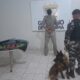 homem-e-preso-no-trabalho-apos-atirar-em-filhote-de-cachorro-da-vizinha-no-nova-cidade