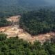 mpf-investiga-mineradora-de-roraima-e-empresas-estrangeiras-por-exploracao-ilegal-na-terra-yanomami