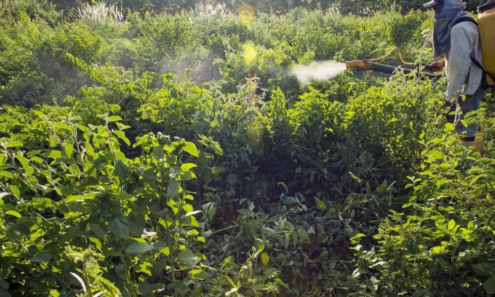 comite-lista-acoes-prioritarias-para-programa-de-reducao-de-agrotoxico