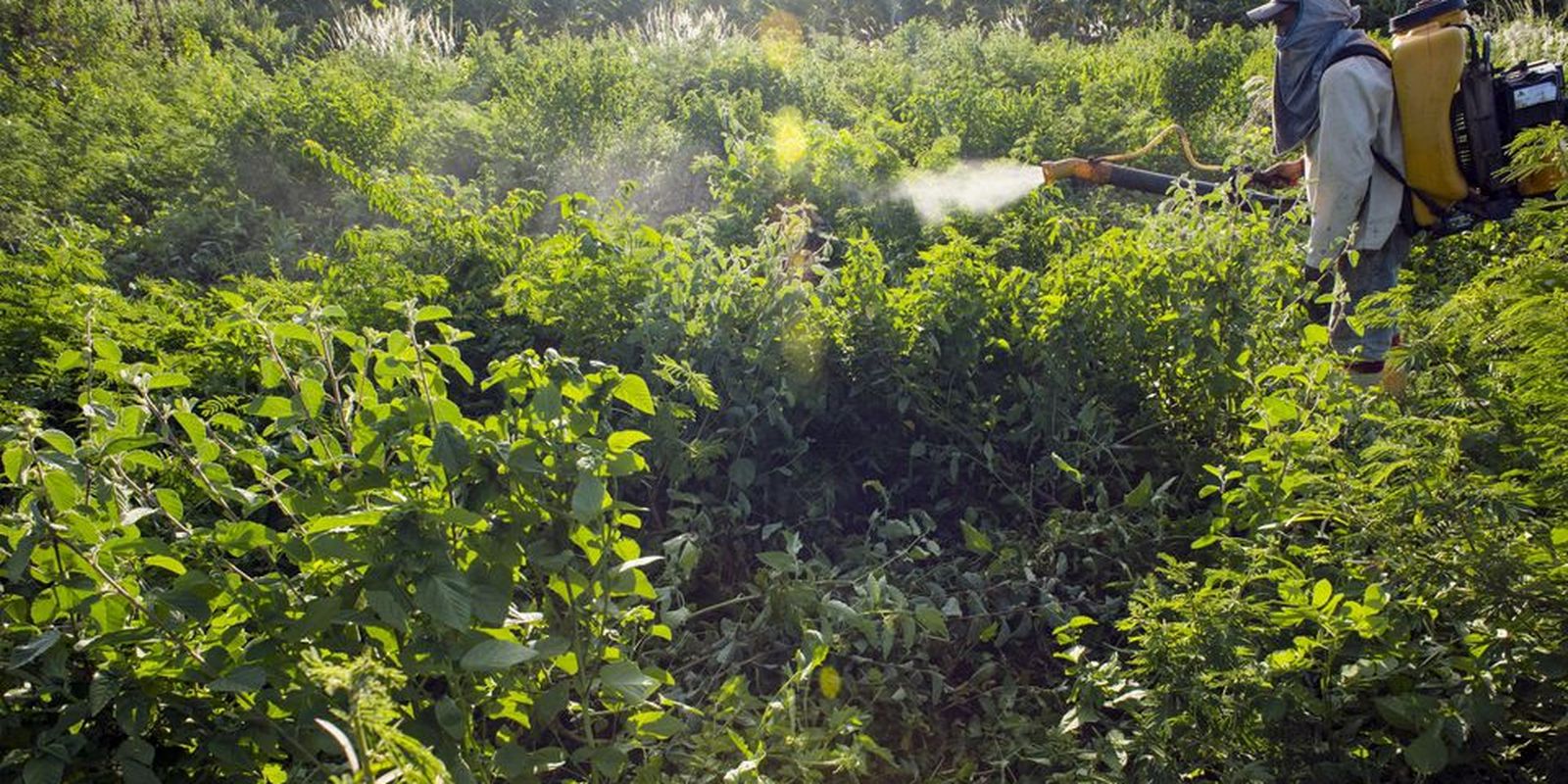 comite-lista-acoes-prioritarias-para-programa-de-reducao-de-agrotoxico