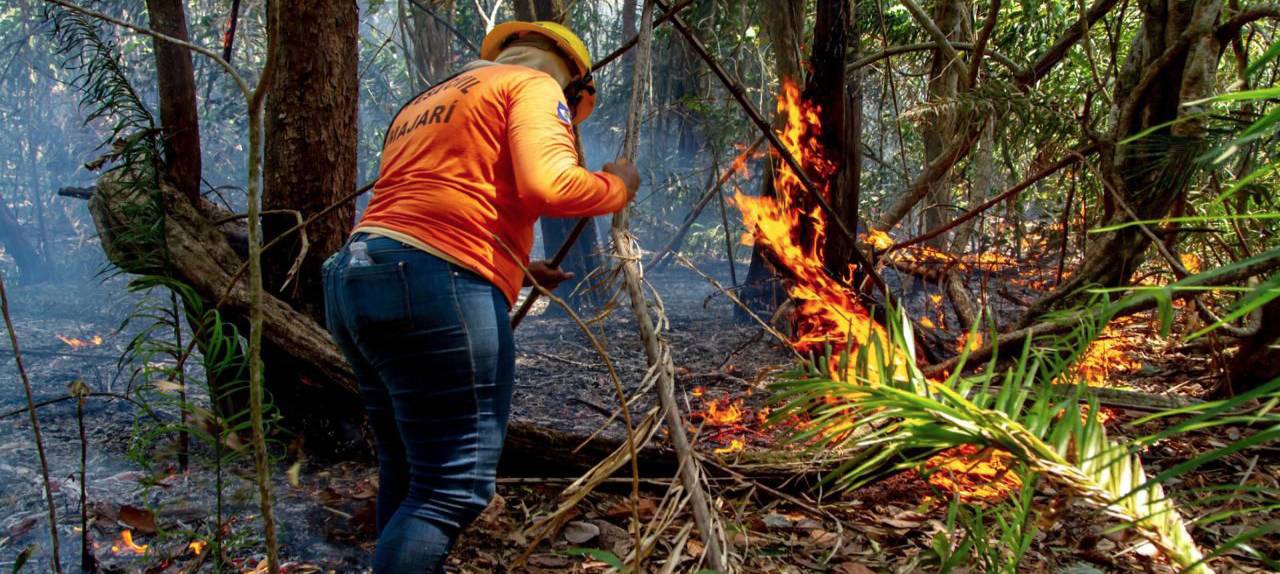 contra-incendios-assembleia-legislativa-aprova-politica-estadual-de-seguranca