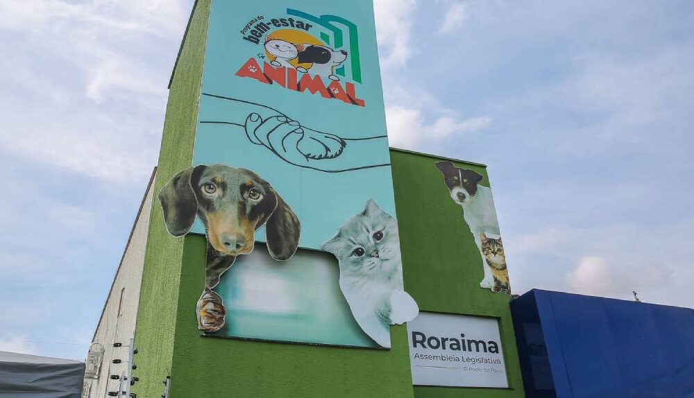 protecao-e-bem-estar-animal-castracao-gratuita-da-alerr-ajuda-a-reduzir-abandono-de-caes-e-gatos-em-roraima