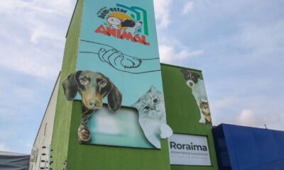 protecao-e-bem-estar-animal-castracao-gratuita-da-alerr-ajuda-a-reduzir-abandono-de-caes-e-gatos-em-roraima