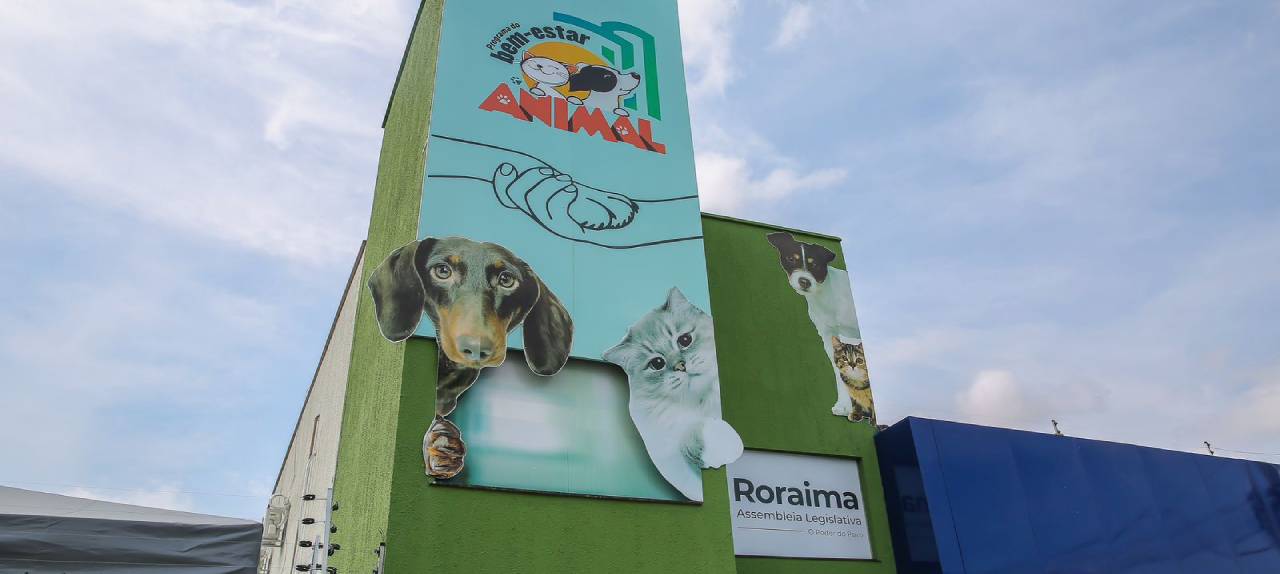 protecao-e-bem-estar-animal-castracao-gratuita-da-alerr-ajuda-a-reduzir-abandono-de-caes-e-gatos-em-roraima