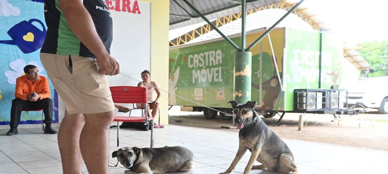 abril-laranja-alerr-reforca-acoes-de-combate-a-crueldade-animal-e-destaca-importancia-da-denuncia-e-dos-cuidados