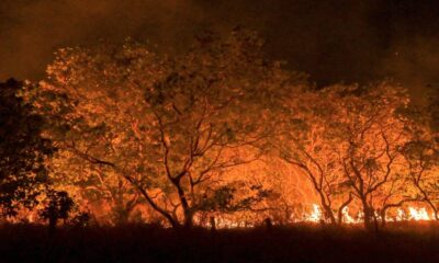 prevencao-as-queimadas-alerr-aprova-pl-que-preve-acoes-integradas-no-periodo-seco-em-rr