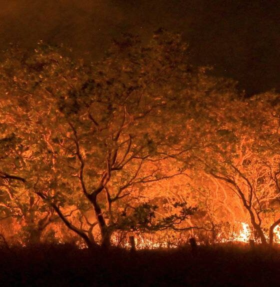 prevencao-as-queimadas-alerr-aprova-pl-que-preve-acoes-integradas-no-periodo-seco-em-rr