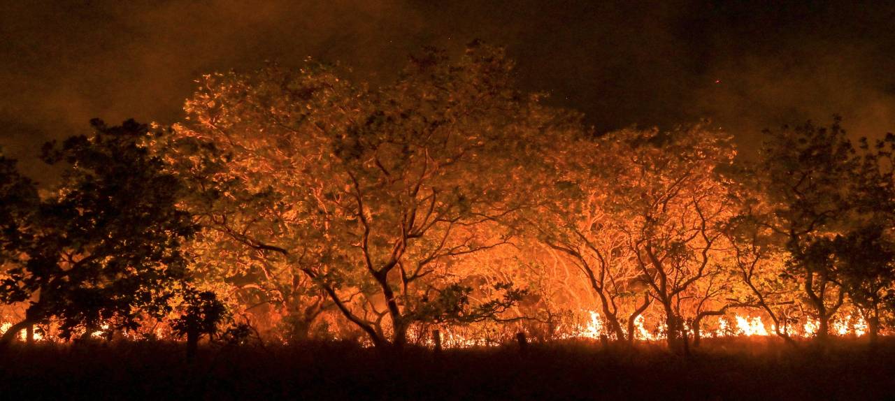 prevencao-as-queimadas-alerr-aprova-pl-que-preve-acoes-integradas-no-periodo-seco-em-rr