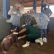 roraima-intensifica-combate-a-peste-suina-classica-com-treinamento-estrategico-de-veterinarios