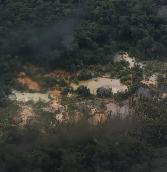 mpf-denuncia-grupo-por-financiar-garimpo-ilegal-em-terra-yanomami-e-movimentar-r$-64-milhoes
