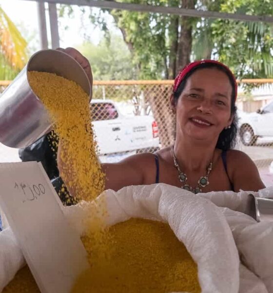 feirinha-da-seadi-promove-evento-especial-nesta-sexta-feira-valorizando-a-agricultura-familiar