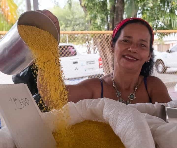 feirinha-da-seadi-promove-evento-especial-nesta-sexta-feira-valorizando-a-agricultura-familiar