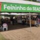 feirinha-da-seadi-valoriza-producao-local-e-historias-de-vida