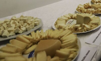 brasil-comeca-a-importar-queijo-mais-barato-apos-acordo-mercosul–ue
