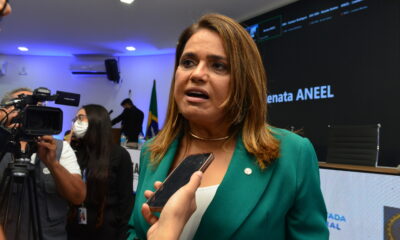 representantes-do-setor-eletrico-apresentam-propostas-para-reduzir-impacto-do-reajuste-de-24,13%-na-conta-de-luz