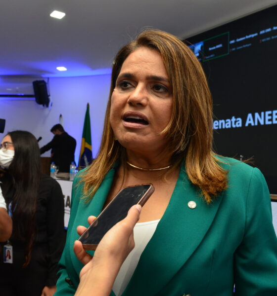 representantes-do-setor-eletrico-apresentam-propostas-para-reduzir-impacto-do-reajuste-de-24,13%-na-conta-de-luz