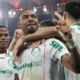 palmeiras-derrota-fla-e-amplia-vantagem-na-lideranca-do-brasileiro
