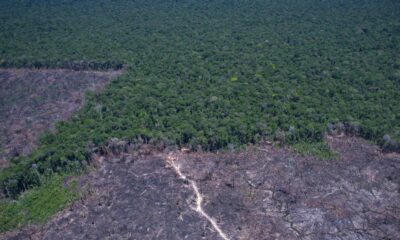paises-discutem-solucao-para-combustivel-fossil-e-desmatamento-ilegal