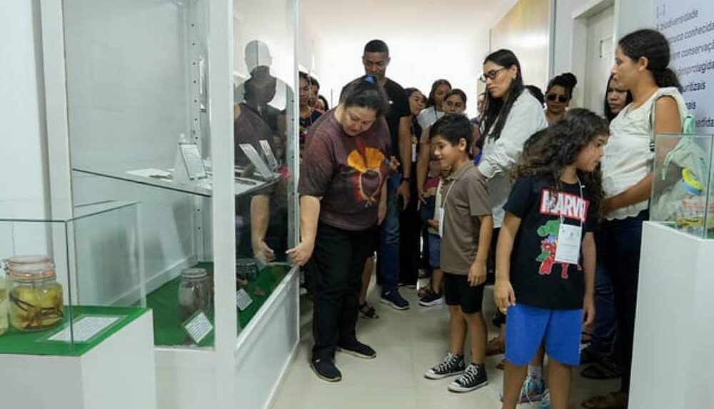 passeio-cultural-criancas-atendidas-pelo-teamarr-visitam-o-museu-integrado-de-roraima
