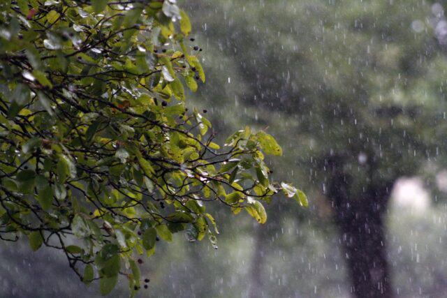 chuva-deve-atingir-boa-vista-todos-os-dias-entre-domingo-(7)-e-sabado-(13),-aponta-previsao