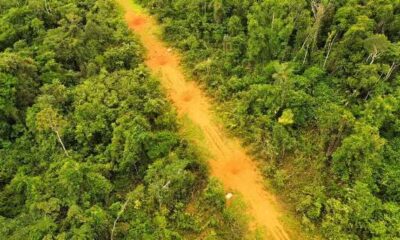 operacao-contra-garimpo-ilegal-apreende-300-kg-de-cassiteria-e-destroi-6-pistas-de-pouso-clandestinas