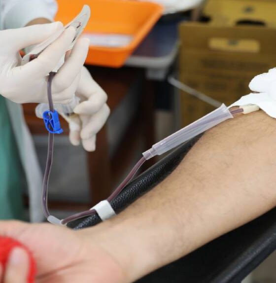junho-vermelho-leis-aprovadas-na-alerr-estimulam-doacao-de-sangue
