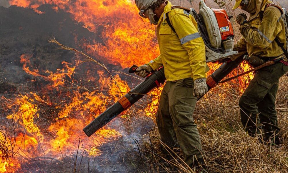 governo-repassa-r$-337-milhoes-para-combate-a-incendios-e-desmatamento