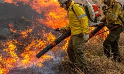 governo-repassa-r$-337-milhoes-para-combate-a-incendios-e-desmatamento