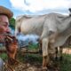 mostra-gratuita-com-67-artistas-ocupa-parque-gloria-maria-no-rio