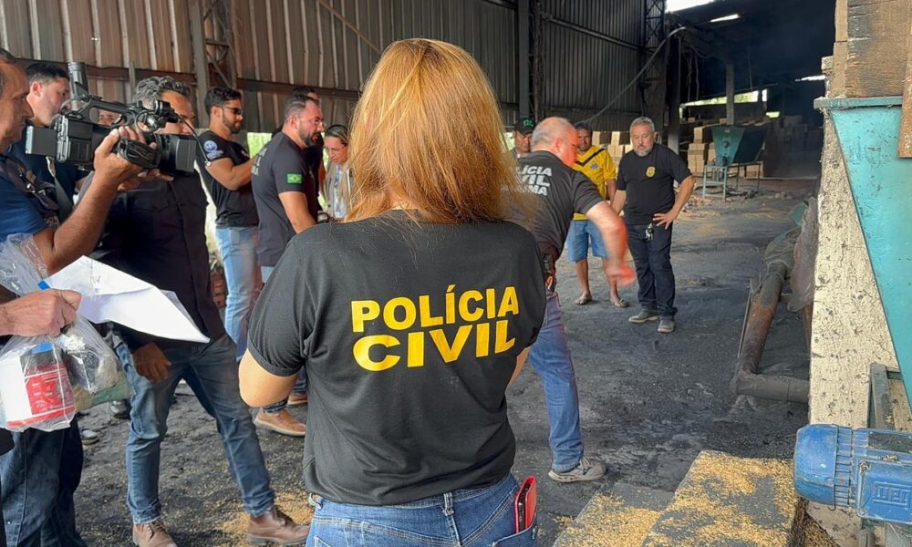 policia-incinera-mais-de-77-quilos-de-drogas-apreendidas-em-operacoes-em-roraima