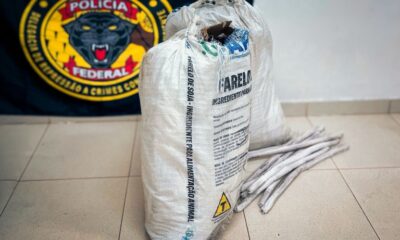 mulher-e-presa-com-780-kg-de-produtos-quimicos-e-200-kg-de-explosivos-destinados-ao-garimpo-ilegal