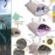 estudo-revela-preservacao-de-tecidos-de-pterossauro-por-113-milhoes
