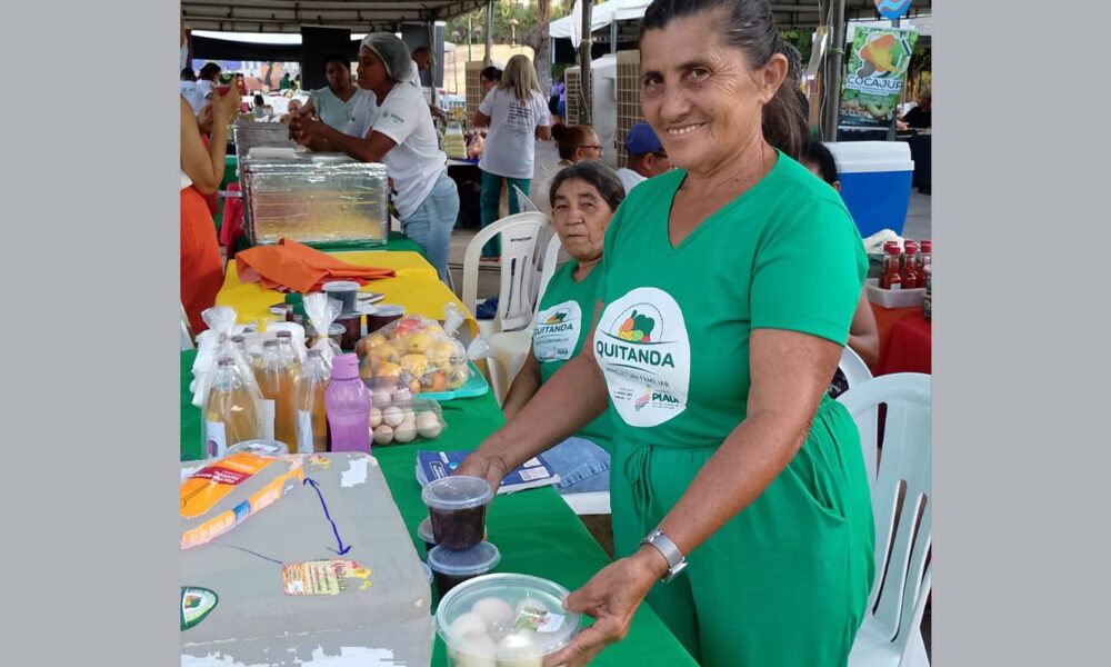 agricultores-familiares-aumentam-renda-em-30%-com-programa-federal 