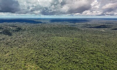 fazenda-autoriza-credito-de-us$-1-bilhao-do-bid-para-eco-invest-brasil